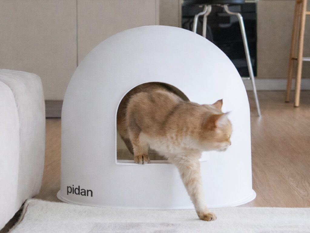 A cat leaving the complete white pidan Igloo Cat Litter Box in a home interior